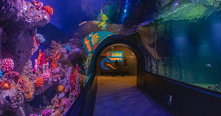 Proyek akuarium laut.